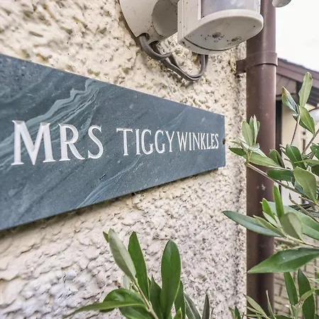 Mrs Tiggywinkles ホテル 4*